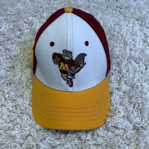 Minnesota gophers hat